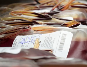 transfusion review
