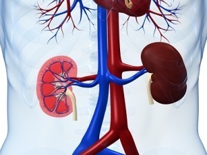 Impact of urgent start intermittent peritoneal dialysis on CLABSI rates 19 arteriovenous vascular access