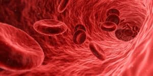Jehovah's Witnesses and the issue of blood transfusion 15 IVTEAM Intravenous Literature